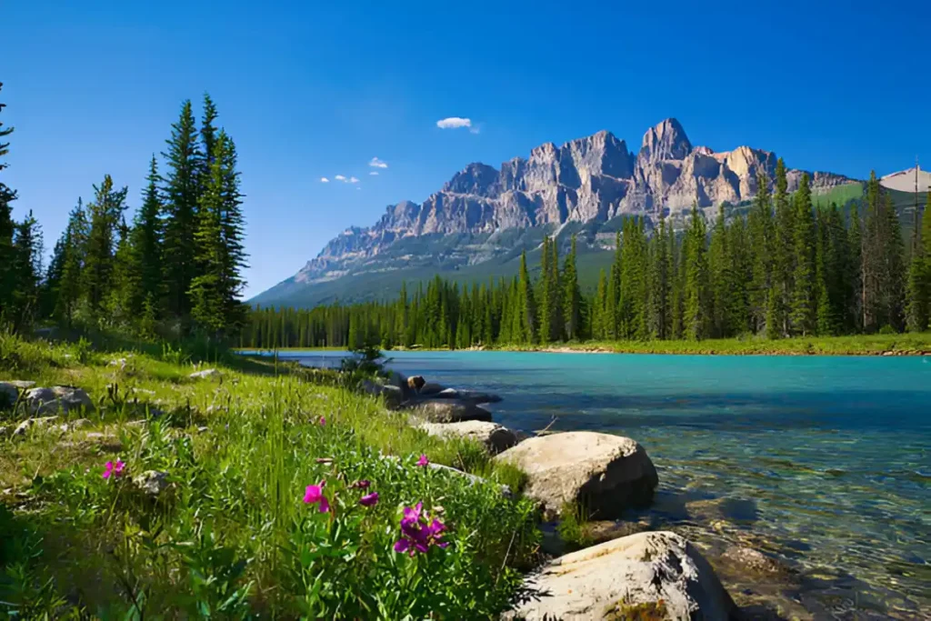 Best Time to Visit Calgary | Top Tourist Attractions 11 Best Time to Visit Calgary