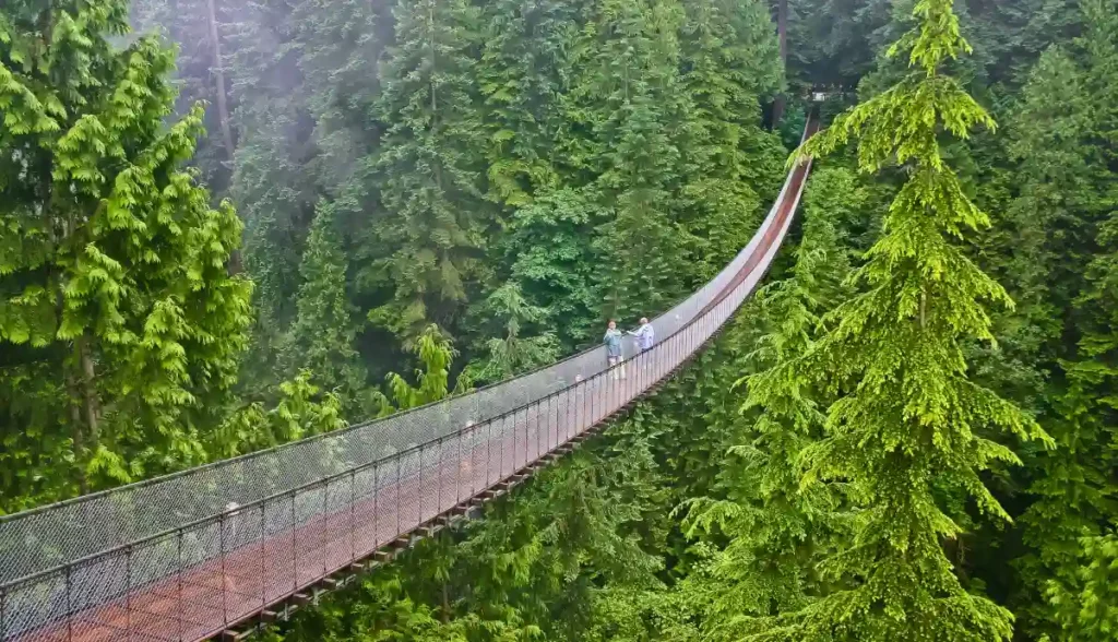 Exploring Vancouver | Best Places to Visit in Vancouver 13 Exploring Vancouver | Best places to visit in Vancouver
| Capilano Bridge image