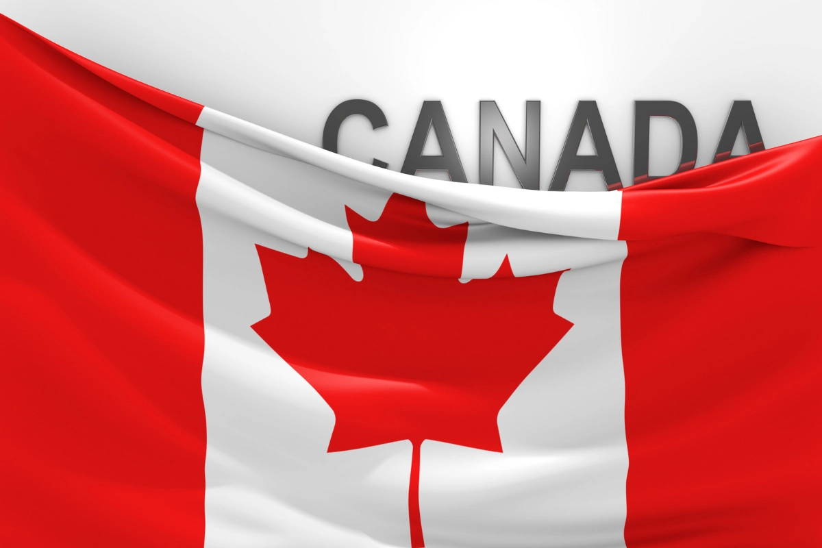 Top Reasons for Canadian Family Sponsorship Application Refusals 9 Top Reasons for Canadian Family Sponsorship Application Refusals